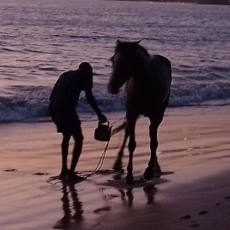 Paradisplage, 1 Minute De La Mer サリー・ポルチュダル エクステリア 写真